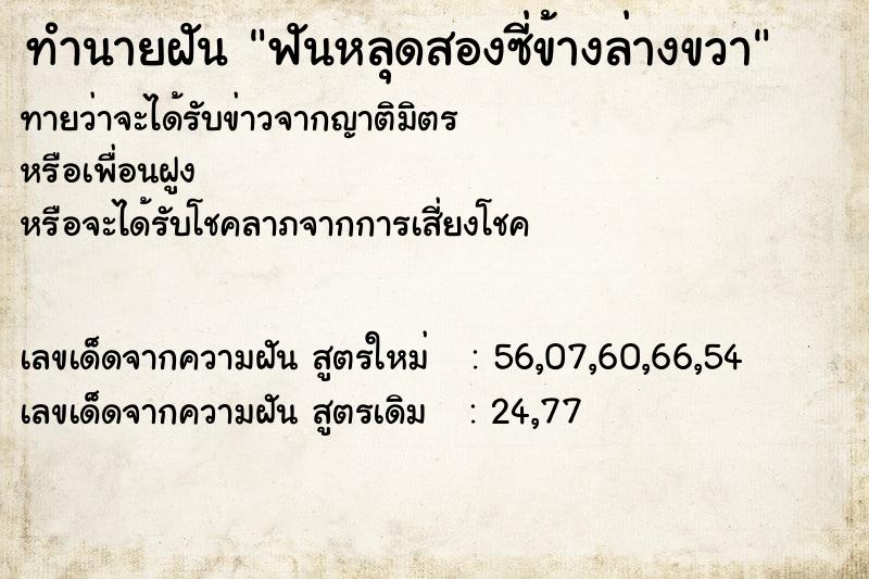 ทำนายฝันฟันหลุดสองซี่ข้างล่างขวา ทำนายฝันทำนายฝันฟันหลุดสองซี่ข้างล่างขวา