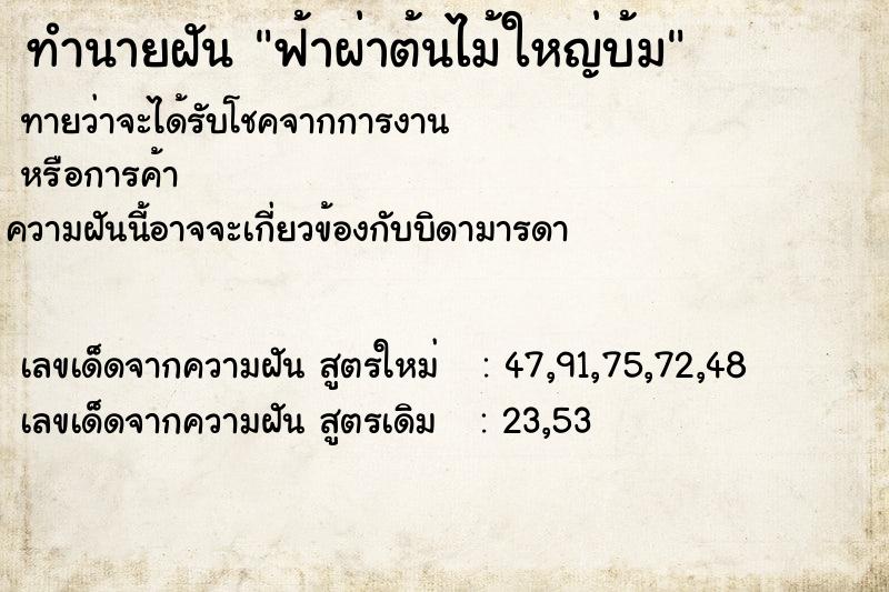 ทำนายฝันทำนายฝันฟ้าผ่าต้นไม้ใหญ่บ้ม