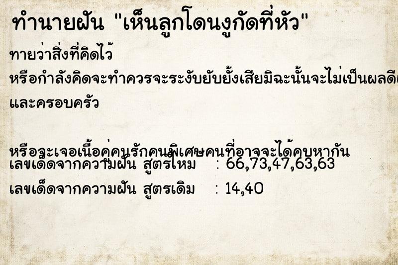 ทำนายฝันทำนายฝันเห็นลูกโดนงูกัดที่หัว
