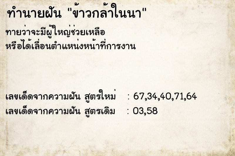 ทำนายฝันข้าวกล้าในนา ทำนายฝันทำนายฝันข้าวกล้าในนา