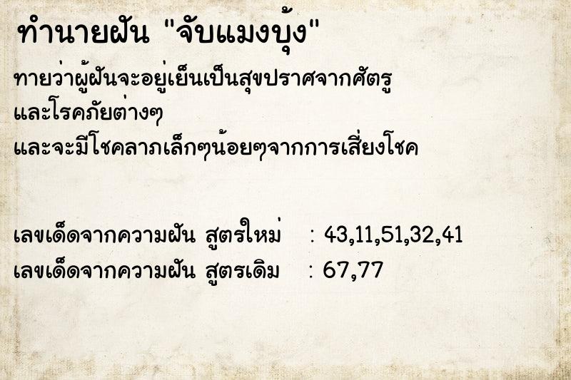 ทำนายฝันจับแมงบุ้ง ทำนายฝันทำนายฝันจับแมงบุ้ง