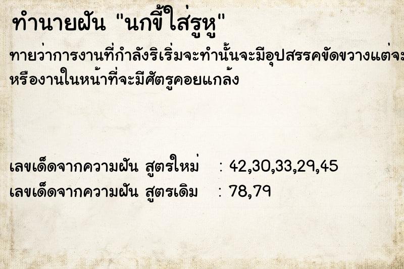 ทำนายฝันนกขี้ใส่รูหู ทำนายฝันทำนายฝันนกขี้ใส่รูหู