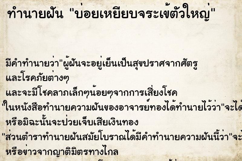 ทำนายฝันทำนายฝันบ่อยเหยียบจระเข้ตัวใหญ่