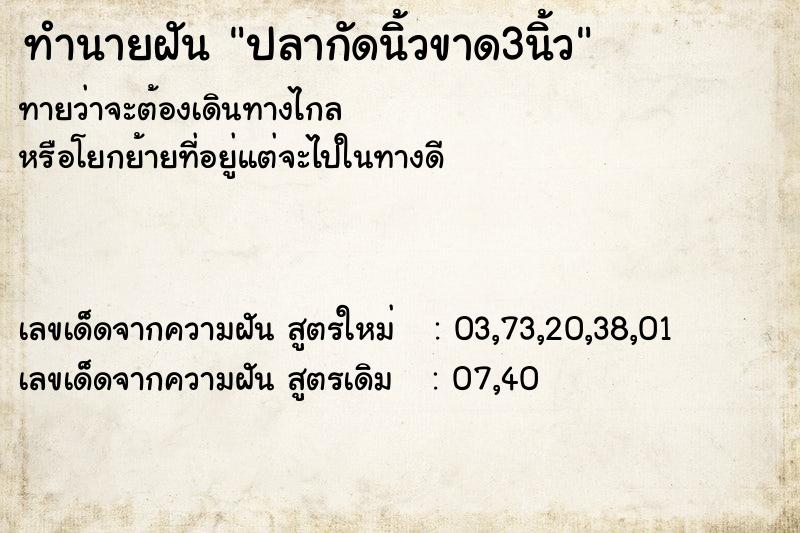 ทำนายฝันปลากัดนิ้วขาด3นิ้ว ทำนายฝันทำนายฝันปลากัดนิ้วขาด3นิ้ว