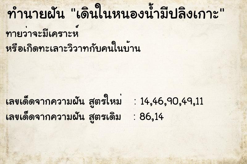 ทำนายฝันเดินในหนองน้ำมีปลิงเกาะ ทำนายฝันทำนายฝันเดินในหนองน้ำมีปลิงเกาะ