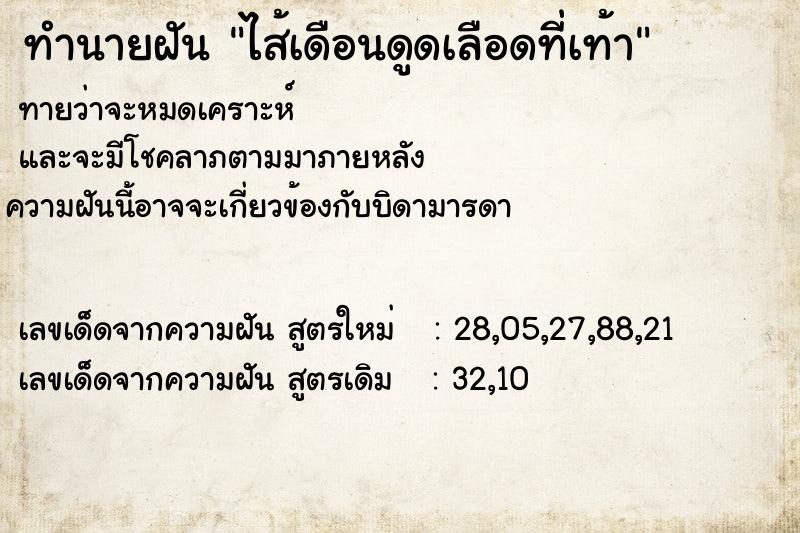 ทำนายฝันไส้เดือนดูดเลือดที่เท้า ทำนายฝันทำนายฝันไส้เดือนดูดเลือดที่เท้า