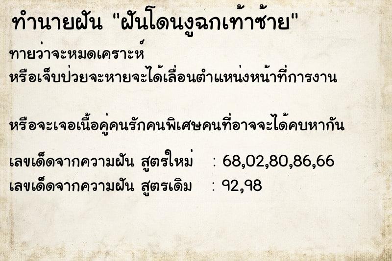 ทำนายฝันฝันโดนงูฉกเท้าซ้าย ทำนายฝันทำนายฝันฝันโดนงูฉกเท้าซ้าย