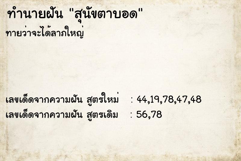 ทำนายฝันสุนัขตาบอด ทำนายฝันทำนายฝันสุนัขตาบอด