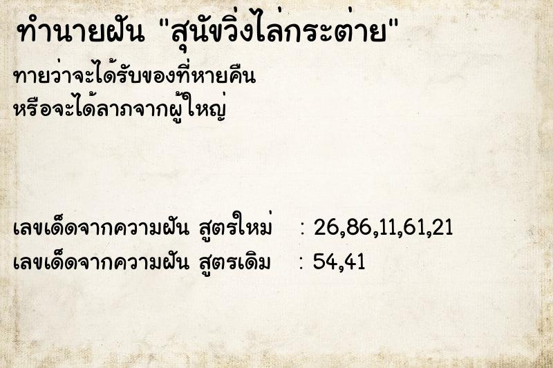 ทำนายฝันสุนัขวิ่งไล่กระต่าย ทำนายฝันทำนายฝันสุนัขวิ่งไล่กระต่าย