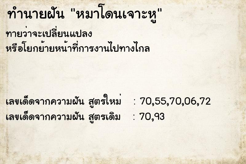 ทำนายฝันทำนายฝันหมาโดนเจาะหู