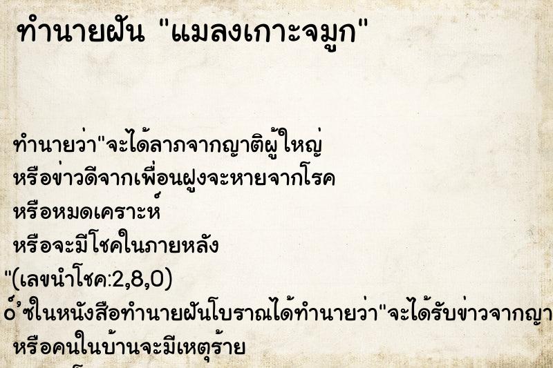 ทำนายฝันทำนายฝันแมลงเกาะจมูก