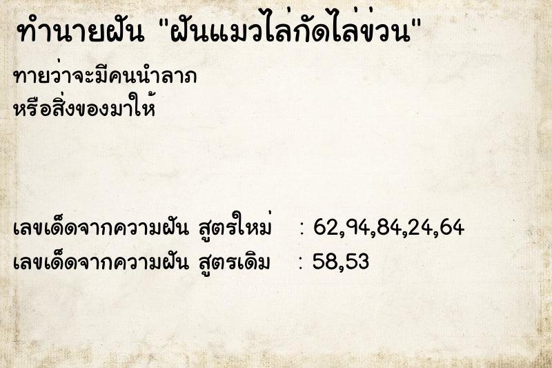 ทำนายฝันฝันแมวไล่กัดไล่ข่วน ทำนายฝันทำนายฝันฝันแมวไล่กัดไล่ข่วน