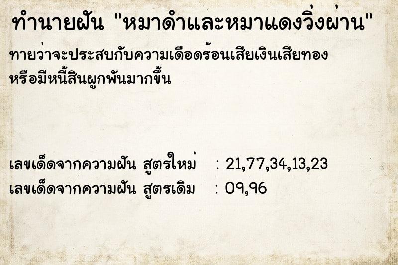 ทำนายฝัน หมาดำและหมาแดงวิ่งผ่าน ทำนายฝัน หมาดำและหมาแดงวิ่งผ่าน