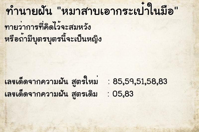 ทำนายฝันหมาสาบเอากระเป๋าในมือ ทำนายฝันทำนายฝันหมาสาบเอากระเป๋าในมือ