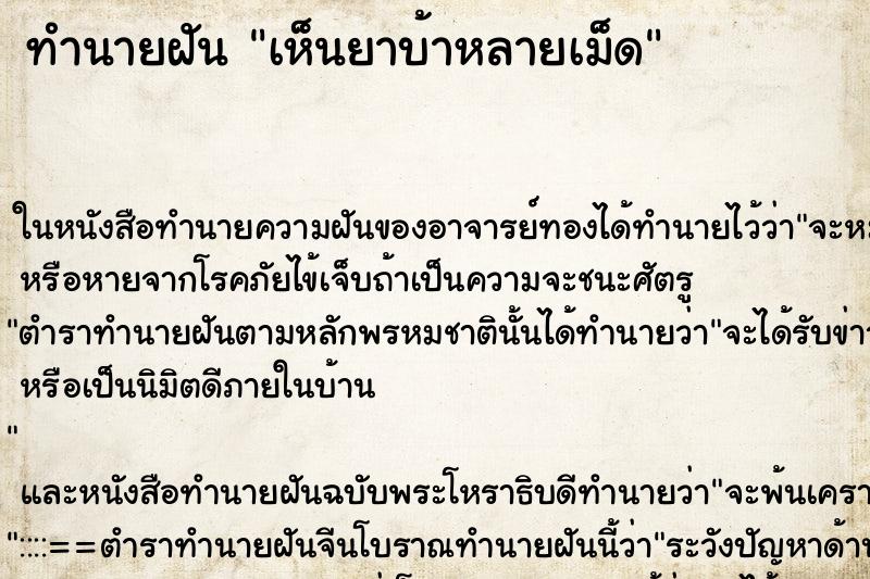 ทำนายฝัน เห็นยาบ้าหลายเม็ด ทำนายฝัน เห็นยาบ้าหลายเม็ด