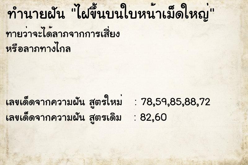 ทำนายฝัน ไฝขึ้นบนใบหน้าเม็ดใหญ่ ทำนายฝัน ไฝขึ้นบนใบหน้าเม็ดใหญ่