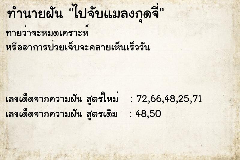 ทำนายฝันทำนายฝันไปจับแมลงกุดจี่