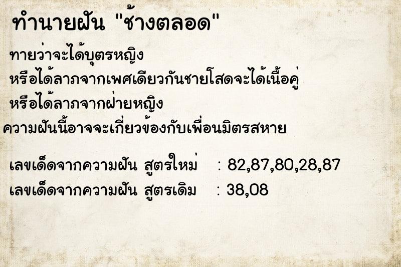 ทำนายฝันช้างตลอด ทำนายฝันทำนายฝันช้างตลอด