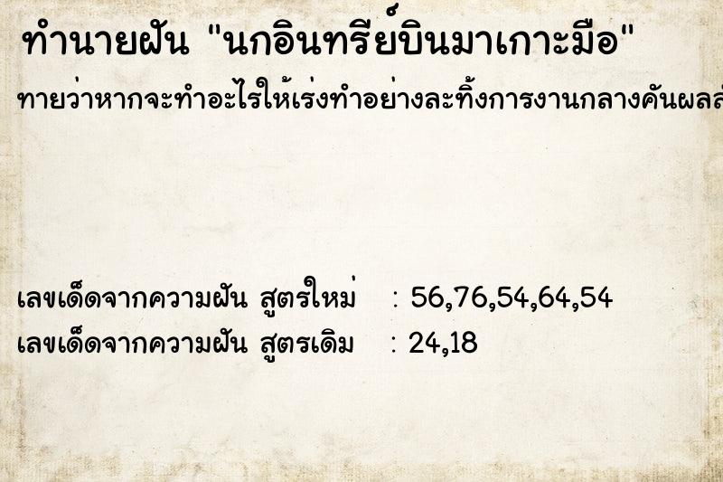 ทำนายฝันทำนายฝันนกอินทรีย์บินมาเกาะมือ