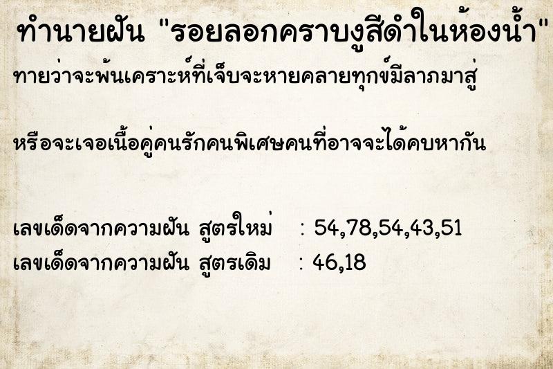 ทำนายฝันรอยลอกคราบงูสีดำในห้องน้ำ ทำนายฝันทำนายฝันรอยลอกคราบงูสีดำในห้องน้ำ