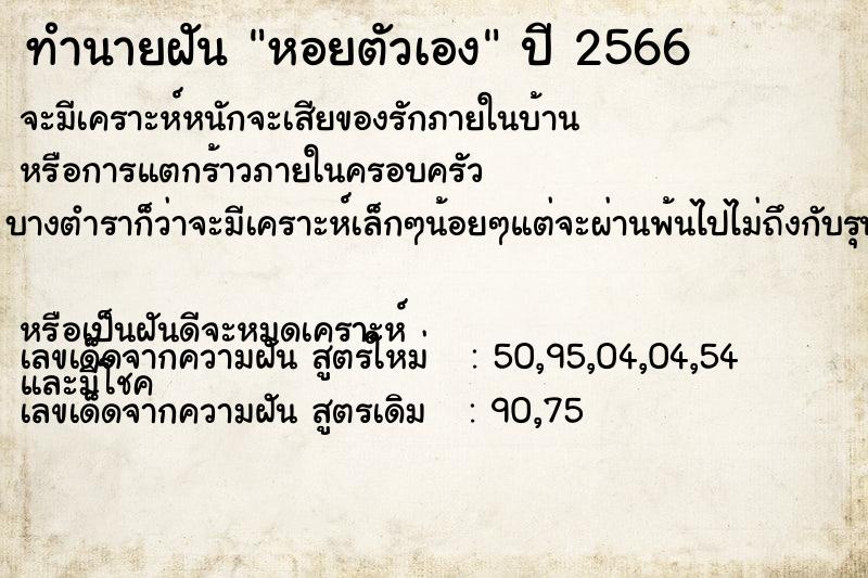 ทำนายฝันหอยตัวเอง ทำนายฝันทำนายฝันหอยตัวเอง