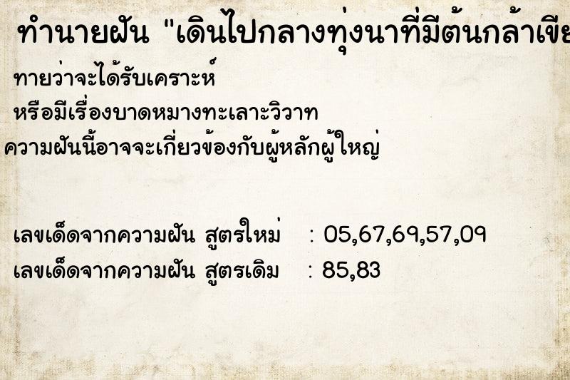 ทำนายฝันเดินไปกลางทุ่งนาที่มีต้นกล้าเขียวขจี ทำนายฝันทำนายฝันเดินไปกลางทุ่งนาที่มีต้นกล้าเขียวขจี