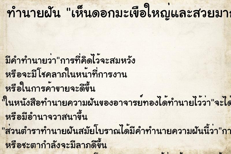ทำนายฝัน เห็นดอกมะเขือใหญ่และสวยมาก ทำนายฝัน เห็นดอกมะเขือใหญ่และสวยมาก