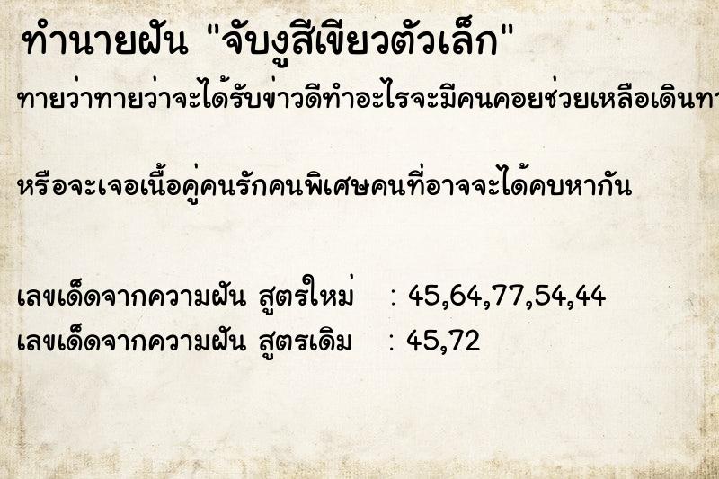 ทำนายฝันทำนายฝันจับงูสีเขียวตัวเล็ก