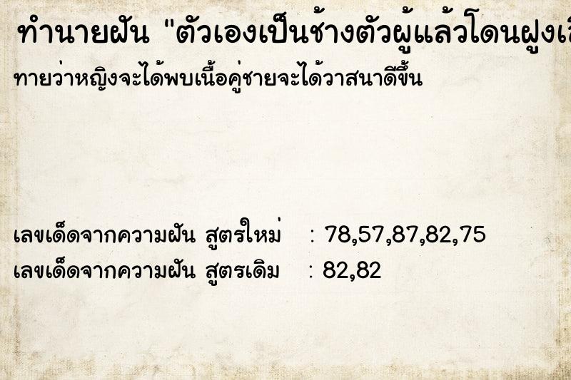 ทำนายฝันตัวเองเป็นช้างตัวผู้แล้วโดนฝูงเสือวิ่งไล่ ทำนายฝันทำนายฝันตัวเองเป็นช้างตัวผู้แล้วโดนฝูงเสือวิ่งไล่
