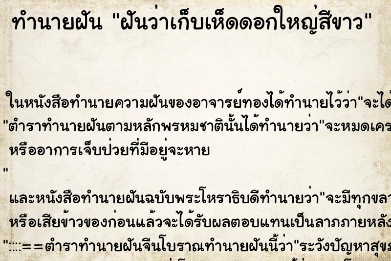 ทำนายฝันฝันว่าเก็บเห็ดดอกใหญ่สีขาว ทำนายฝันทำนายฝันฝันว่าเก็บเห็ดดอกใหญ่สีขาว