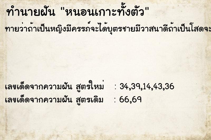 ทำนายฝันหนอนเกาะทั้งตัว ทำนายฝันทำนายฝันหนอนเกาะทั้งตัว