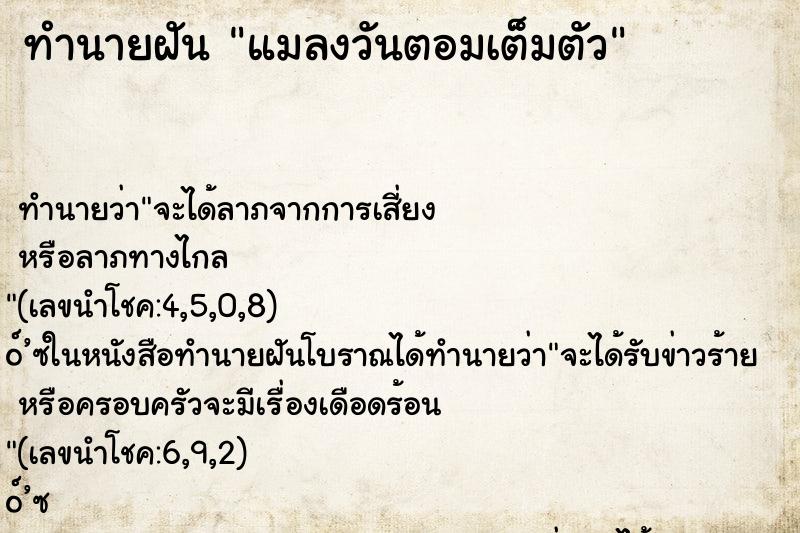 ทำนายฝัน แมลงวันตอมเต็มตัว ทำนายฝัน แมลงวันตอมเต็มตัว