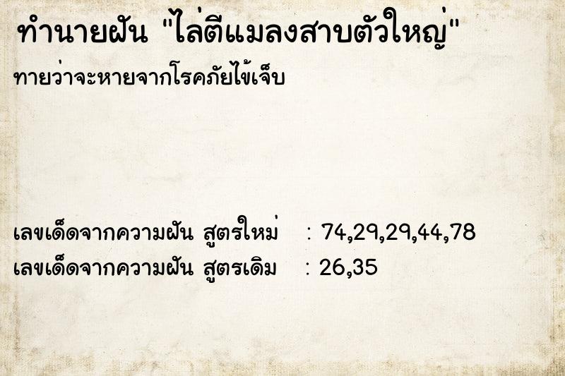 ทำนายฝันไล่ตีแมลงสาบตัวใหญ่ ทำนายฝันทำนายฝันไล่ตีแมลงสาบตัวใหญ่