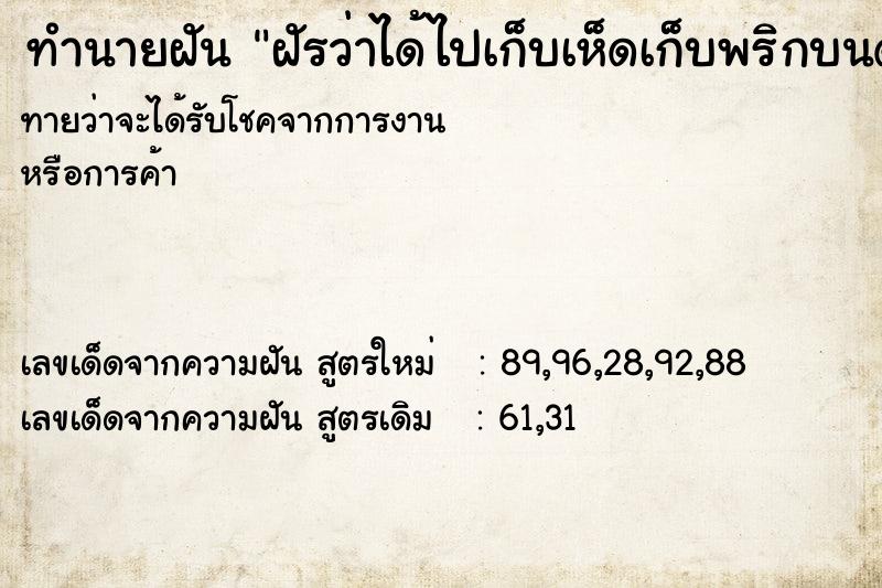 ทำนายฝันทำนายฝันฝัรว่าได้ไปเก็บเห็ดเก็บพริกบนดอย