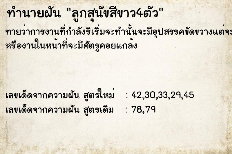 ทำนายฝันทำนายฝันลูกสุนัขสีขาว4ตัว