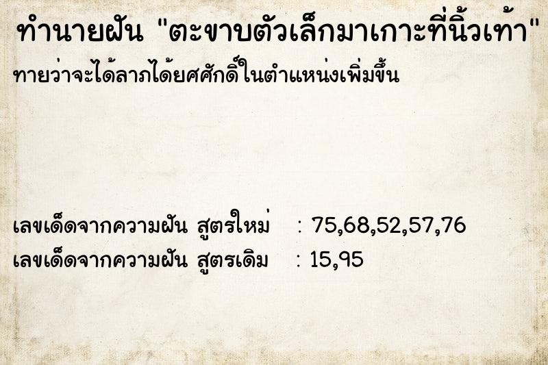 ทำนายฝันทำนายฝันตะขาบตัวเล็กมาเกาะที่นิ้วเท้า