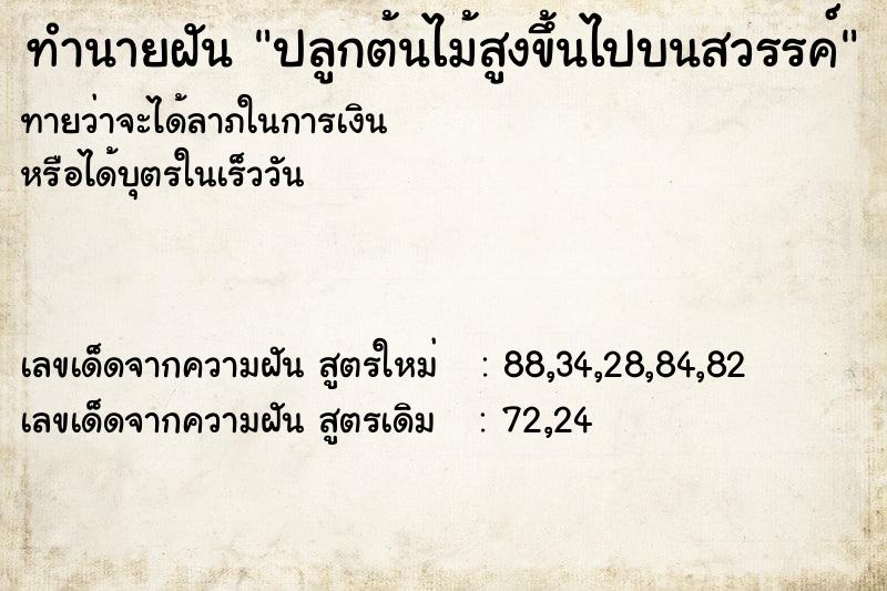 ทำนายฝันปลูกต้นไม้สูงขึ้นไปบนสวรรค์ ทำนายฝันทำนายฝันปลูกต้นไม้สูงขึ้นไปบนสวรรค์