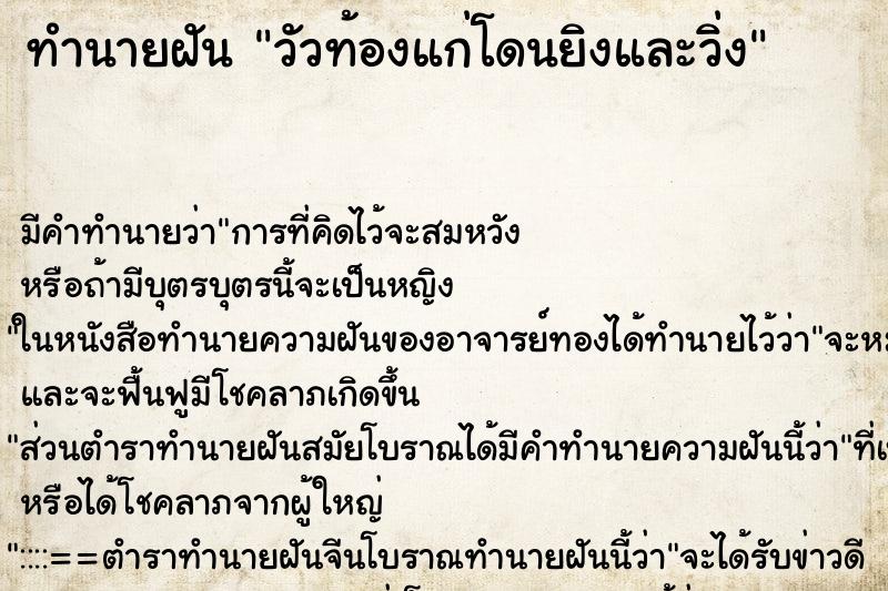 ทำนายฝันวัวท้องแก่โดนยิงและวิ่ง ทำนายฝันทำนายฝันวัวท้องแก่โดนยิงและวิ่ง