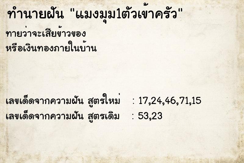 ทำนายฝันทำนายฝันแมงมุม1ตัวเข้าครัว
