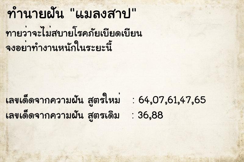 ทำนายฝัน แมลงสาป ทำนายฝัน แมลงสาป