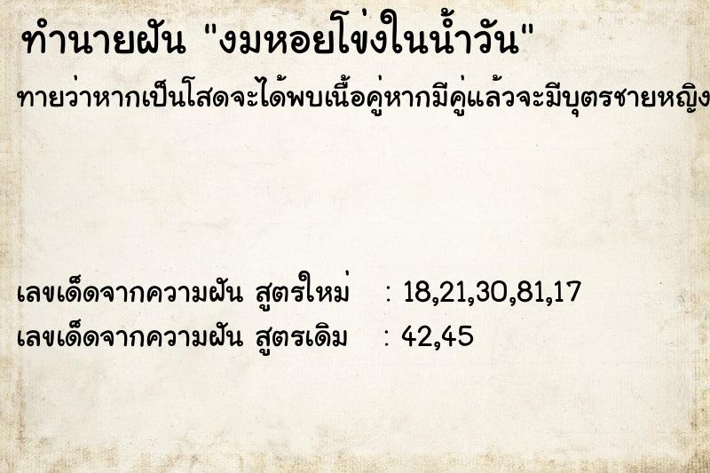 ทำนายฝันงมหอยโข่งในน้ำวัน ทำนายฝันทำนายฝันงมหอยโข่งในน้ำวัน