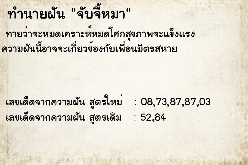 ทำนายฝันทำนายฝันจับจี้หมา