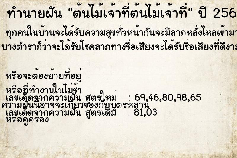 ทำนายฝัน ต้นไม้เจ้าที่ต้นไม้เจ้าที่ ทำนายฝัน ต้นไม้เจ้าที่ต้นไม้เจ้าที่