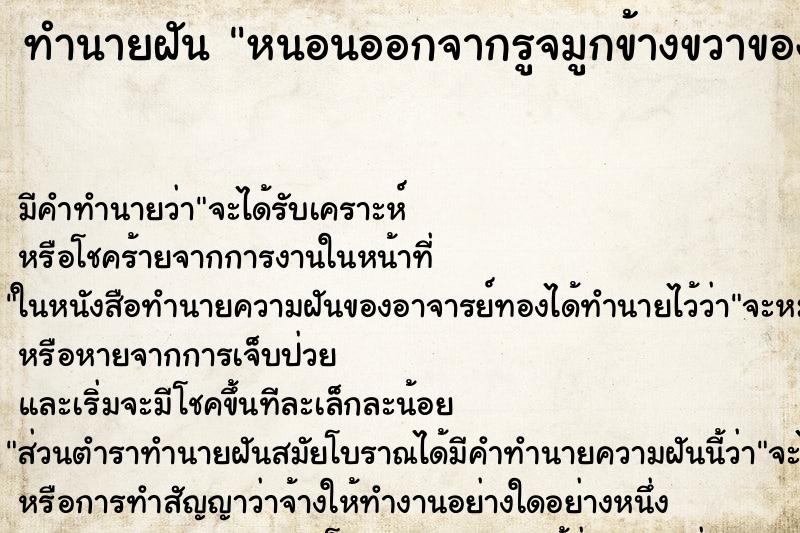 ทำนายฝันทำนายฝันหนอนออกจากรูจมูกข้างขวาของตนเอง