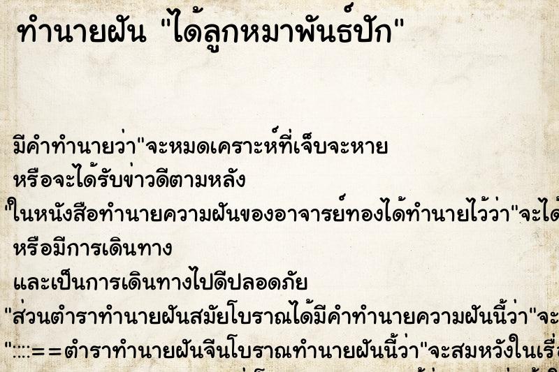 ทำนายฝัน ได้ลูกหมาพันธ์ปัก ทำนายฝัน ได้ลูกหมาพันธ์ปัก