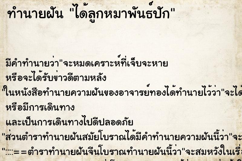 ทำนายฝัน ได้ลูกหมาพันธ์ปัก ตำราโบราณ แม่นที่สุดในโลก