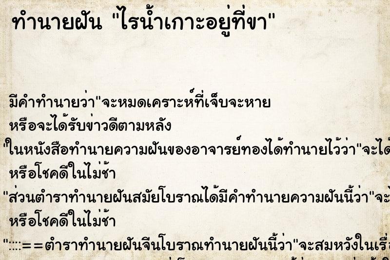 ทำนายฝันทำนายฝันไรน้ำเกาะอยู่ที่ขา