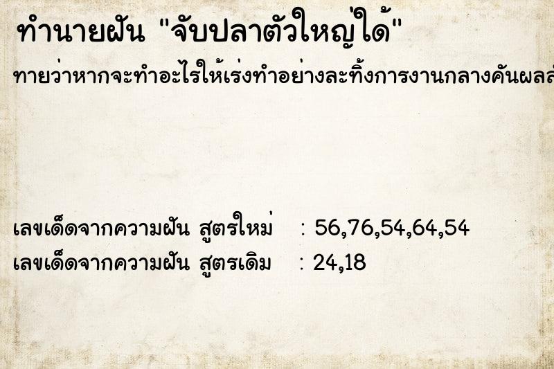 ทำนายฝันจับปลาตัวใหญ่ใด้ ทำนายฝันทำนายฝันจับปลาตัวใหญ่ใด้