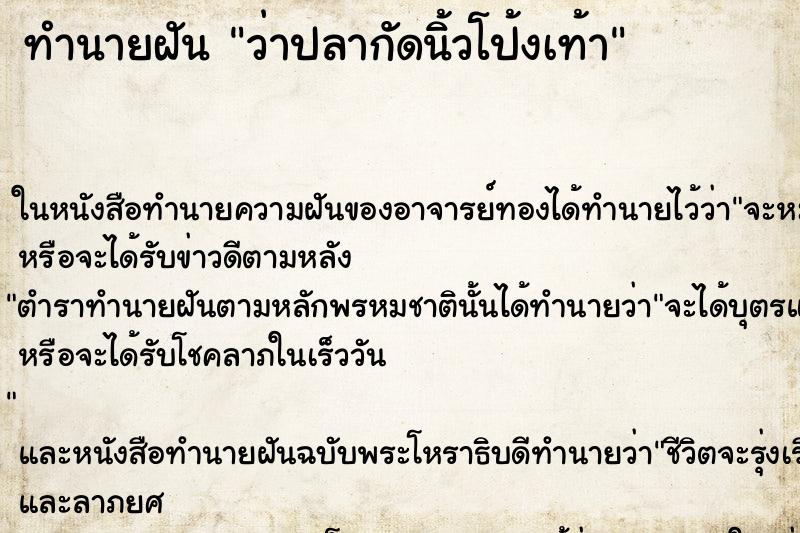 ทำนายฝัน ว่าปลากัดนิ้วโป้งเท้า ทำนายฝัน ว่าปลากัดนิ้วโป้งเท้า