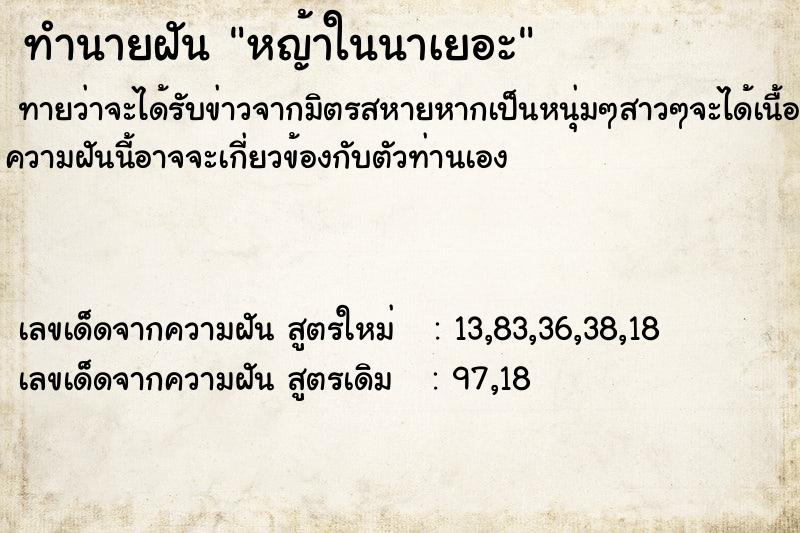ทำนายฝันหญ้าในนาเยอะ ทำนายฝันทำนายฝันหญ้าในนาเยอะ
